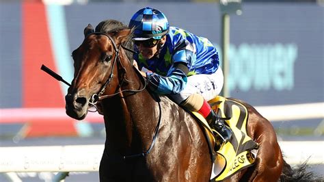 Sydney Cup .
